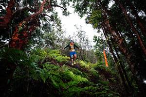 BIB: 
                            <button type="button" onclick="openModal(26205060)" class="btn btn-primary btn-sm float-right btn-popup" data-toggle="modal" data-target=".modal-high-quality">
                        <i class="fas fa-shopping-cart"></i> Add to Cart
                    </button>
                                            <button type="button" onclick="isThisMe(26205060, true)" class="btn btn-success btn-sm float-right btn-popup btn-isme hidden" data-toggle="tooltip" data-placement="bottom" title="นี่คือรูปของคุณใช่ไหม คลิกที่นี่เพื่อเอาเข้าอัลบั้ม">
                        <i class="fas fa-plus"></i> Add to album
                    </button>
                    <button type="button" onclick="isThisMe(26205060, false)" class="btn btn-warning btn-sm float-right btn-popup btn-isnotme hidden">
                        <i class="fas fa-ban"></i> Remove from album
                    </button>